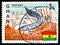 Postage stamp printed in Ghana shows African Lungfish Protopterus annectens, Definitives 1967-1969 serie, circa 1967