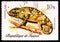 Postage stamp printed in Guinea shows Flapneck Chameleon Chamaeleon dilepis, Reptiles serie, circa 1977