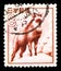 Postage stamp printed in Japan shows Japanese Serow (Capricornis crispus), Fauna, Flora and National Treasures (1952-68) serie,