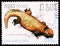 Postage stamp printed in Kampuchea (Cambodia) shows North-African Mastigure (Uromastyx acanthinura), Reptiles serie, circa 1987