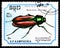 Postage stamp printed in Kampuchea Cambodia shows Scarlet Malachite Beetle Malachius aeneus, Insects serie, circa 1988