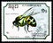 Postage stamp printed in Kampuchea Cambodia shows Western Honeybee Apis mellifera, Insects serie, circa 1988