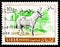 Postage stamp printed in Lebanon shows Donkey Equus asinus asinus, Animals and fish serie, circa 1968