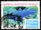 Postage stamp printed in Madagascar shows West Indian Ocean Coelacanth (Latimeria chalumnae), Fish serie, circa 1982