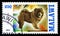 Postage stamp printed in Malawi shows Chow-Chow, Dogs serie, circa 2013