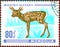 Postage stamp printed in Mongolia shows of a little deer, from the series `Young animals`.