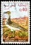 Postage stamp printed in Morocco shows Houbara Bustard Chlamydotis undulata, Birds 1970 serie, circa 1970