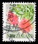 Postage stamp printed in New Zealand shows Climbing Rata (Metrosideros fulgens), Pictorial Definitives serie, 8 d - New Zealand