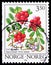 Postage stamp printed in Norway shows Cowberry Vaccinium vitis-idaea, Wild berries serie, circa 1995