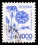Postage stamp printed in Poland shows Blue corn flower (Centaurea cyanus), Medicinal Plants serie, circa 1989