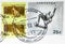 Postage stamp printed in Russia with stamp of Petropavlovka shows Skeleton, Winter Olympic Sport, Winter Olympic Games 2014 -