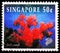 Postage stamp printed in Singapore shows Cauliflower Soft Coral (Dendronephthya sp.), Reef Life serie, circa 1997