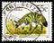 Postage stamp printed in South Africa shows Aardwolf (Proteles cristatus), Definitives Endangered Animals serie, circa 1993