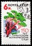 Postage stamp printed in Soviet Union (Russia) shows Strawberry tree, 150th Anniversary of Nikitsky Botanical Gardens serie, 6