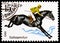 Postage stamp printed in Soviet Union shows Kabarda Horse Equus ferus caballus, Horse breeding in USSR serie, circa 1982