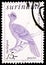 Postage stamp printed in Suriname shows Black Curassow (Crax alector), Birds serie, circa 1979