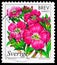 Postage stamp printed in Sweden shows Great willow herb, Wetland Flowers serie, circa 1998