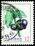 Postage stamp printed in Taiwan shows Solanum americanum, Berries 2012-2014 serie, circa 2012
