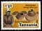Postage stamp printed in Tanzania shows Water and Cooking Pots, Pottery serie, 1.50 TSh - Tanzanian shilingi, circa 1985