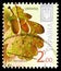 Postage stamp printed in Ukraine shows English Oak Quercus robur, Eighth Definitive Issue - Trees serie, circa 2012