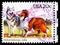 Postage stamp printed in United States shows Alaskan Malamute, Collie Canis lupus familiaris, Dogs Issue serie, circa 1984