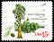 Postage stamp printed in United States shows American Trees: Giant Sequoia, American Trees Issue serie, circa 1978