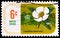 Postage stamp printed in United States shows Frankinia Southeast, Botanical Congress Issue serie, circa 1969