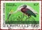 Postage stamp printed in the USSR with the inscription in Russian `Astrakhan Nature Reserve`, the image of Spoonbill