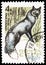 Postage stamp printed in USSR Russia shows Silver Fox Vulpes vulpes var., Fur-bearing Animals serie, circa 1967