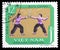 Postage stamp printed in Vietnam shows Fencing with sabres, Traditional national sport serie, circa 1968