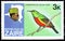 Postage stamp printed in Zaire shows Regal Sunbird Nectarinia regia, Discovery of the River Zaire serie, circa 1979