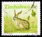 Postage stamp printed in Zimbabwe shows Scrub Hare (Lepus saxatilis), Animals, Hand Crafts and Transportation serie, 3 Zimbabwean