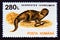 Postage stamp Romania, 1993. Egyptian Mongoose Herpestes ichneumon animal
