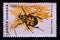 Postage stamp Romania,, 1996. Bee Beetle Trichius fasciatus insect