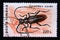 Postage stamp Romania,, 1996. Greater Capricorn Beetle Cerambyx cerdo insect