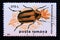 Postage stamp Romania,, 1996. Leaf Beetle Entomoscelis adonidis insect