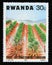 Postage stamp Rwanda, 1983. Pineapple Plantation strips Campaign against Soil Erosion
