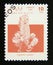 Postage stamp Sahara OCC, 1992. Resin spurge Euphorbia resinifera