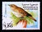 Postage stamp Sahrawi Arab Democratic Republic, 1997. Common nightingale luncinia megarhynchos bird