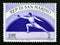 Postage stamp San Marino, 1954. Pro Sport Fencing