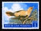 Postage stamp San Marino, 1960. Golden Oriole Oriolus oriolus bird