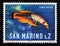 Postage stamp San Marino, 1966. Cuckoo Wrasse Labrus bimaculatus