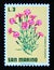 Postage stamp San Marino, 1971. Cottage Pink Dianthus plumarius Blooming flowers