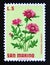 Postage stamp San Marino, 1971. Whitewash Cornflower Centaurea dealbata flower