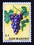 Postage stamp San Marino, 1973. Grapes Vitis vinifera