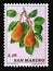 Postage stamp San Marino, 1973. Pears fruit food