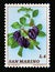 Postage stamp San Marino, 1973. Plums fruit food