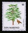 Postage stamp San Marino, 1979.  Golden Eagle Aquila chrysaetos, Lebanon Cedar Cedrus libani tree