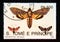 Postage stamp Sao tome and pri­ncipe, 1992. Death`s head Hawk moth Acherontia atropos, Six Spot Burnet Zygaena filipen butterfly
