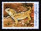 Postage stamp Somalia, 1998. Tuatara Sphenodon punctatus reptile